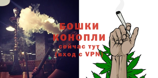 крисы Бородино
