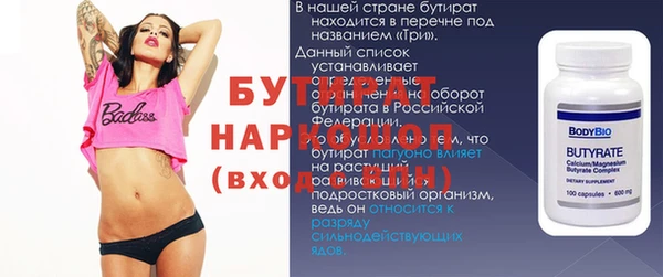 крисы Бородино