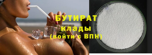 крисы Бородино