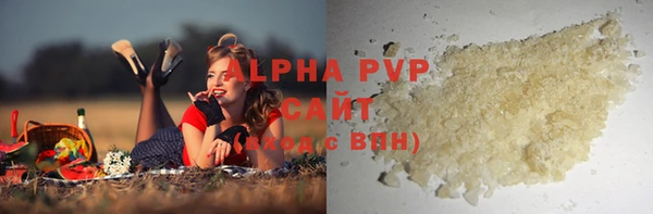 крисы Бородино