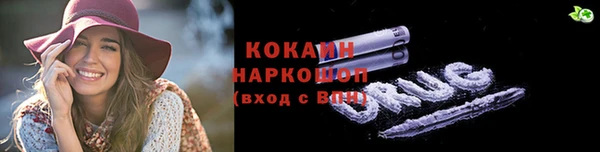 крисы Бородино