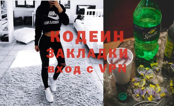 крисы Бородино