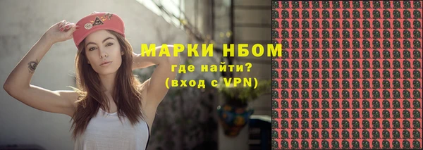 крисы Бородино
