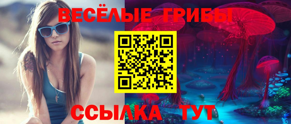 Псилоцибиновые грибы Cubensis  наркошоп  Карасук  Вход с VPN 