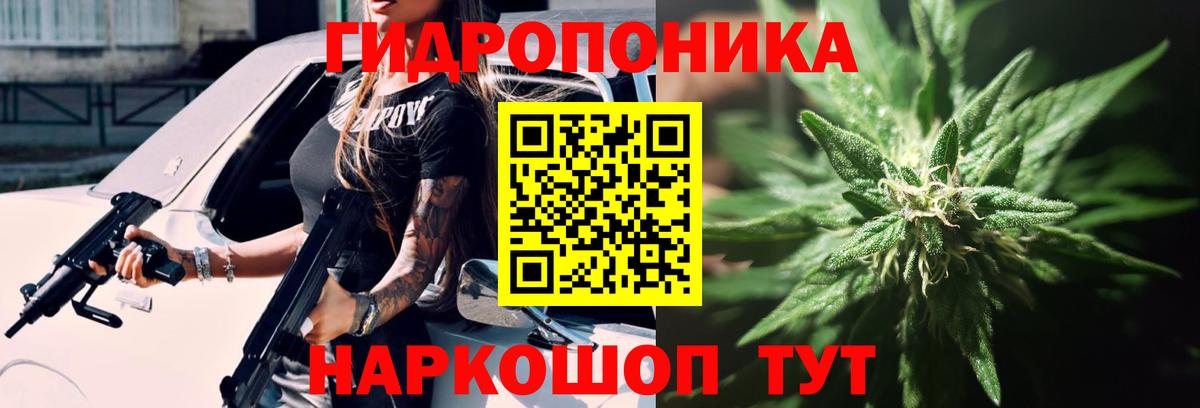 Шишки марихуана LSD WEED  Конопля SATIVA & INDICA  Канабис SATIVA & INDICA  Вход с VPN  МАРИХУАНА сатива  Карасук 